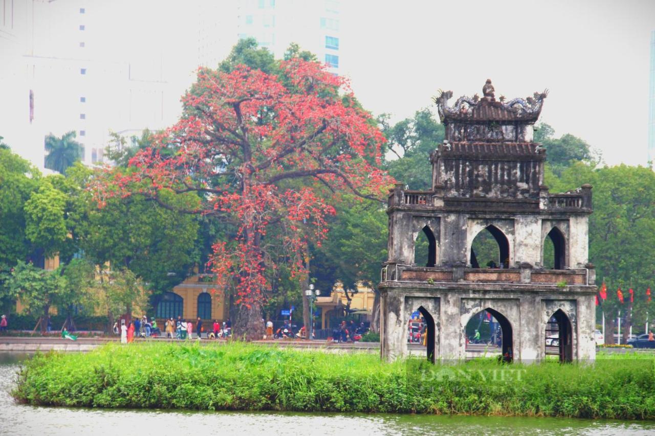 هانوي Bong Ha Noi Hostel المظهر الخارجي الصورة